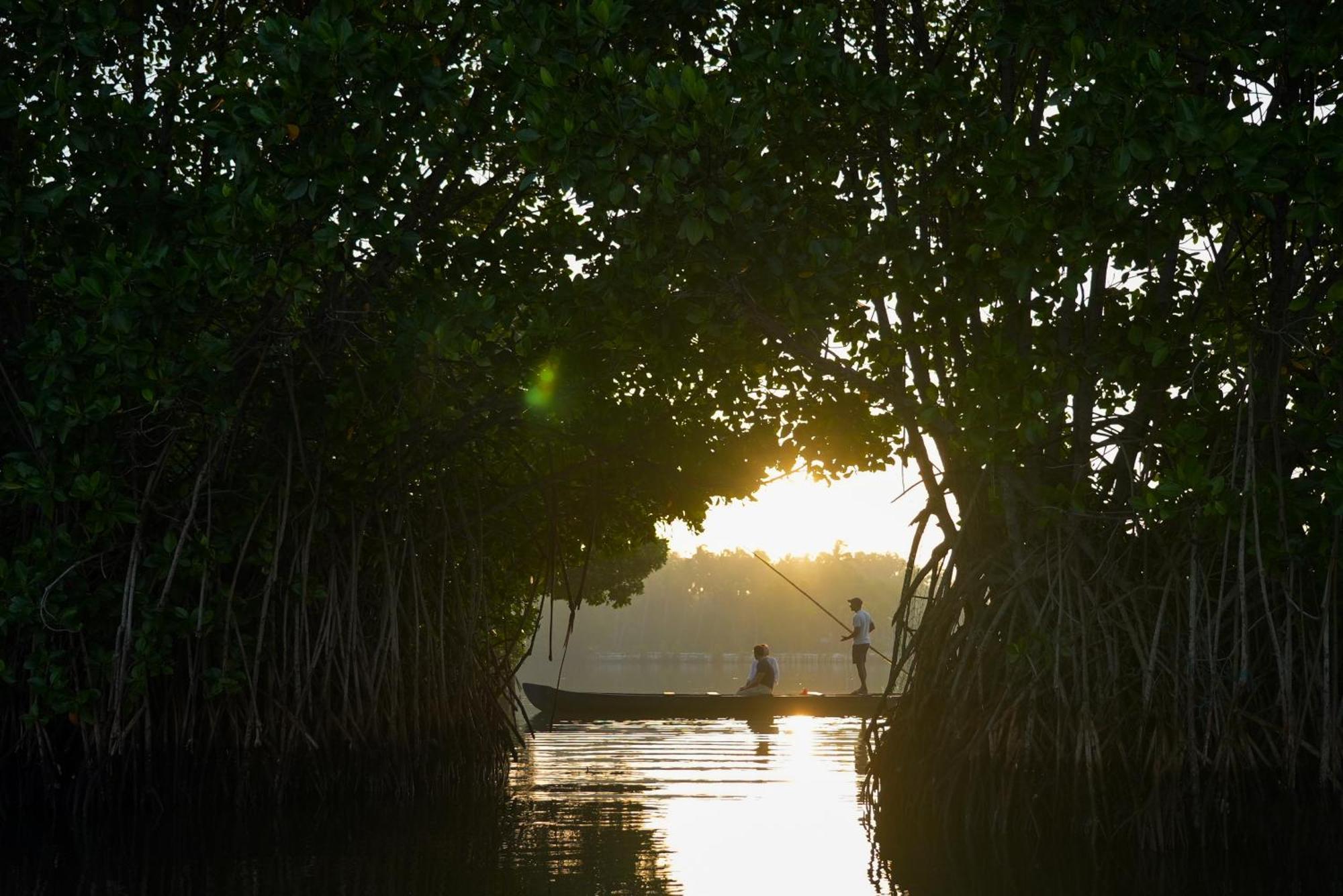Kalloos Island Backwater Resort Kollam Exterior photo